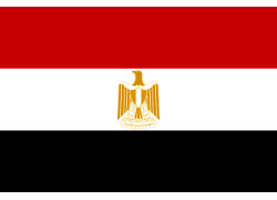 В Египте изменят конституцию