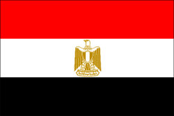 В Египте военные свергли президента