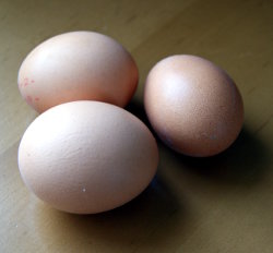 В Каменске-Уральском планируют сделать гигантскую яичницу-глазунью