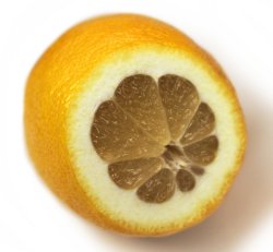 Фотография лимона
